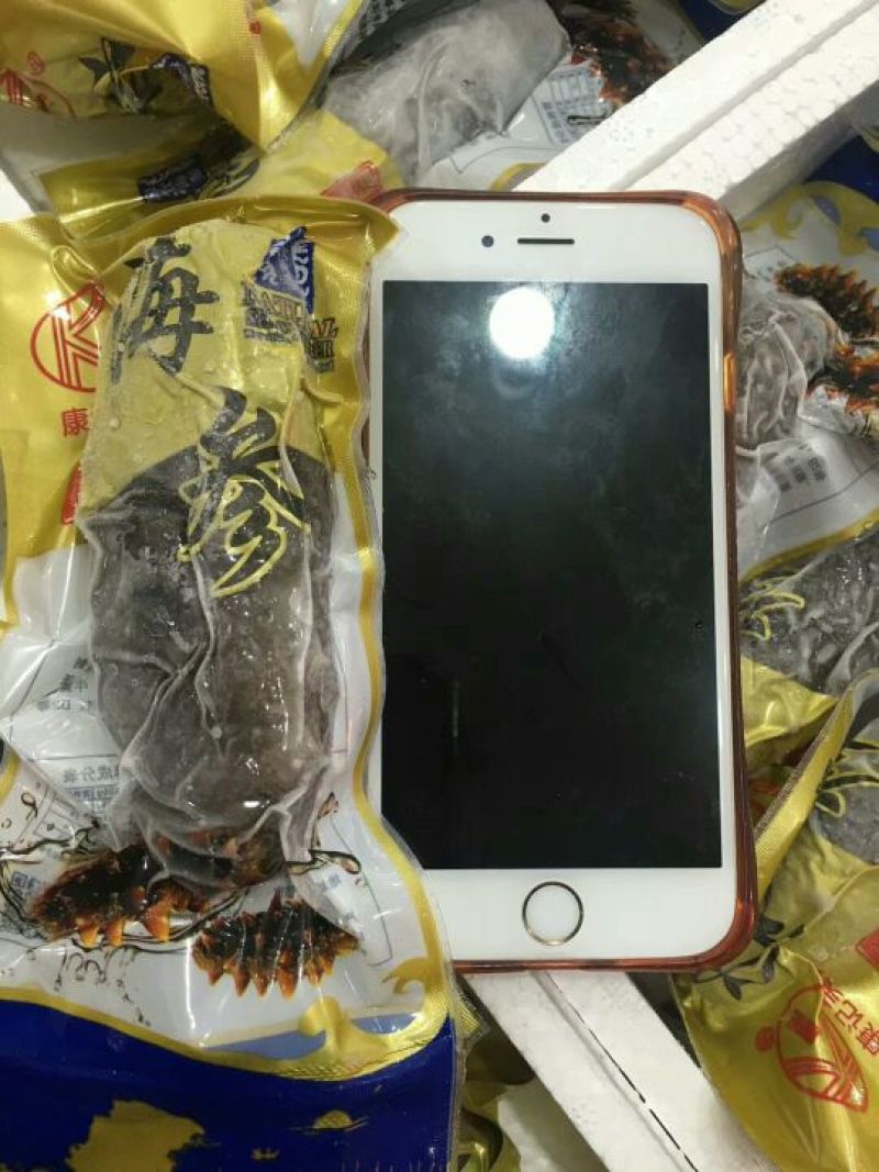 即食海参8-10一斤