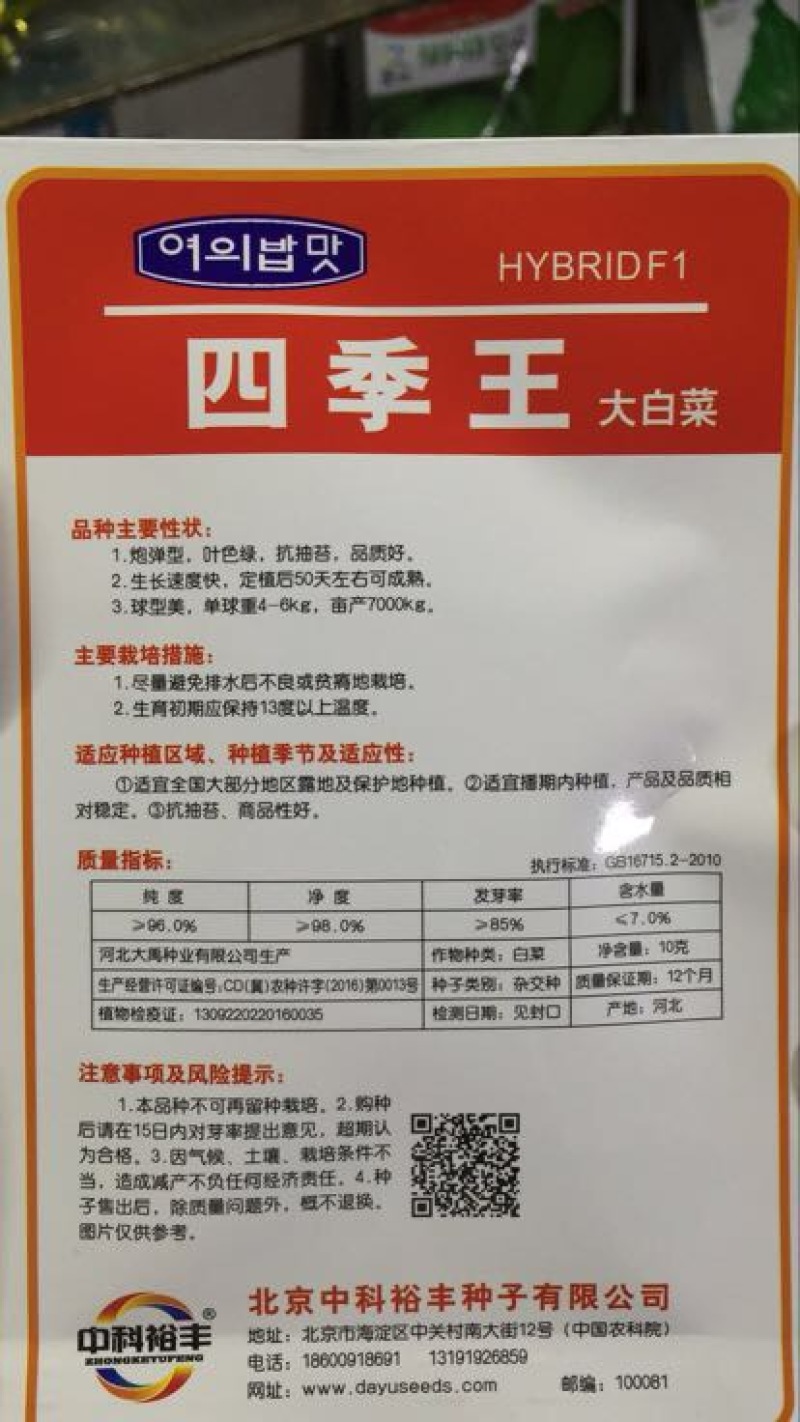 白菜种子