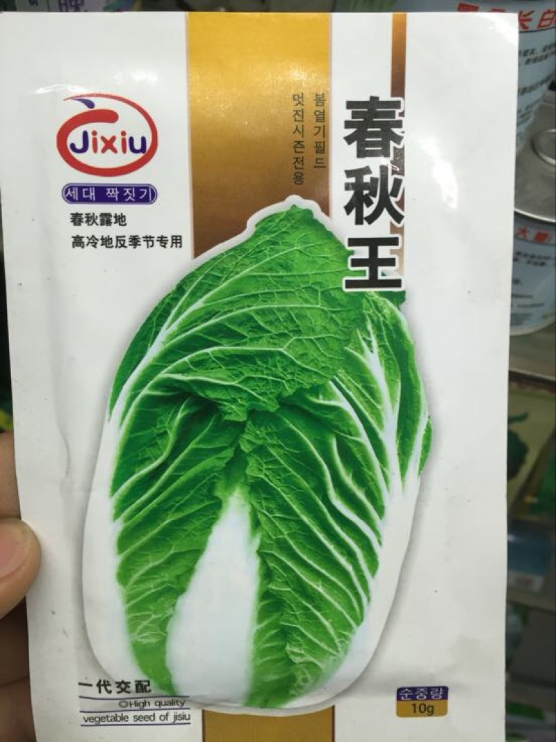 白菜种子