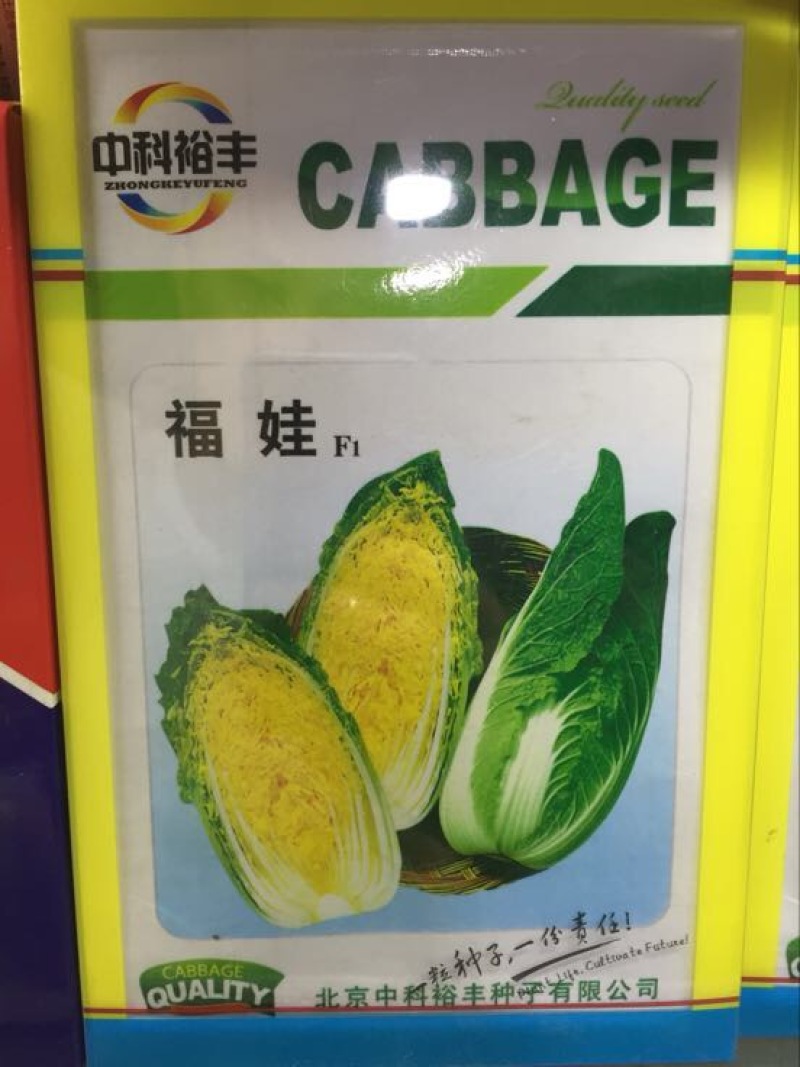 白菜种子