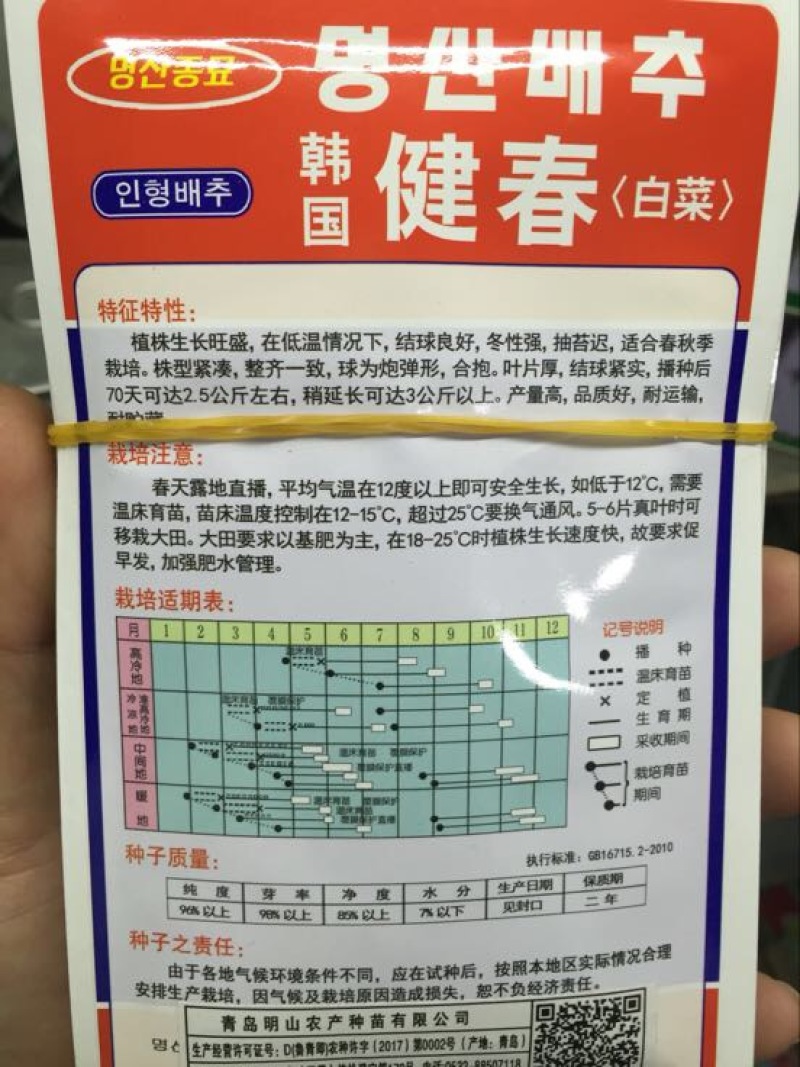 白菜种子