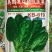 菠菜种子97%