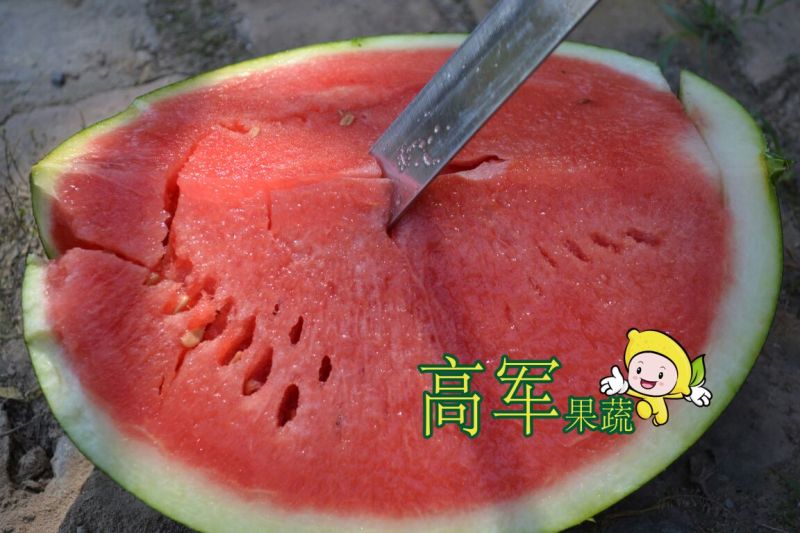 陕西黑皮无籽西瓜甜王西瓜金城五品质高口感好