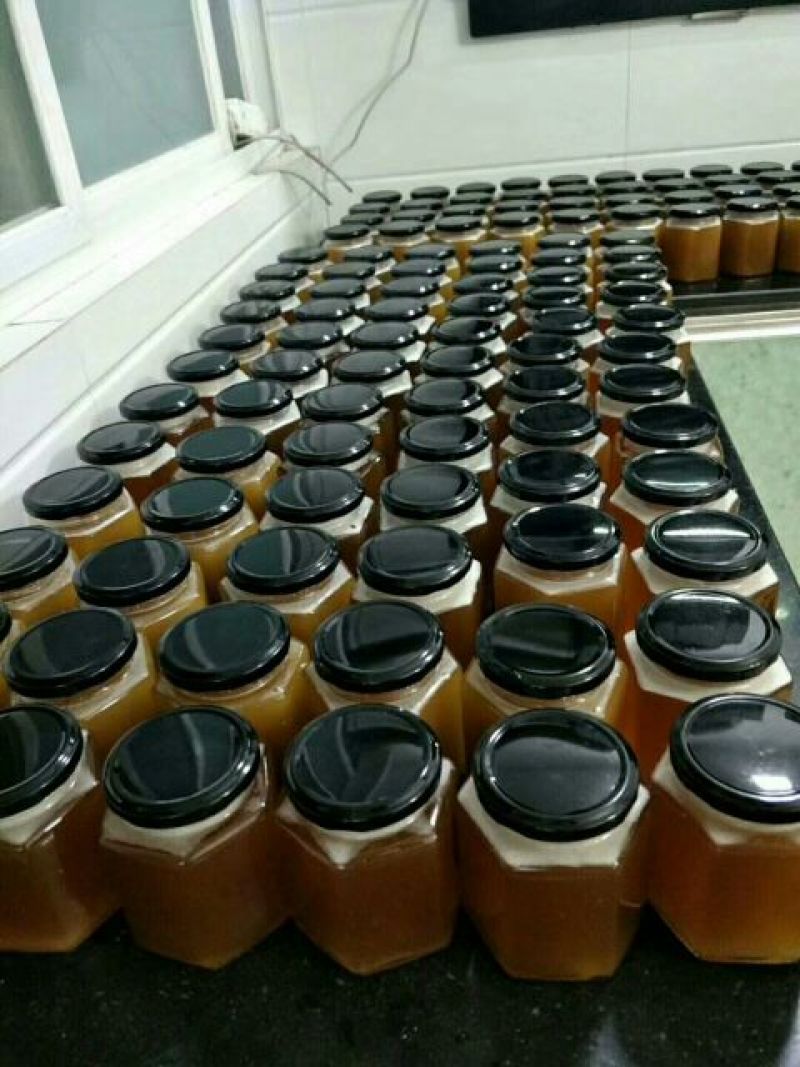 野生野蜂蜜，蜂巢，保真保纯，现货，产地直发