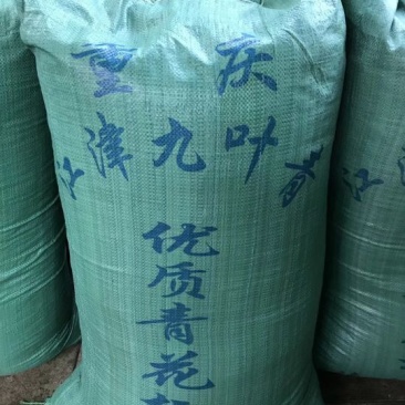 正宗江津区九叶青麻椒，麻香，长期有货，需要联系。