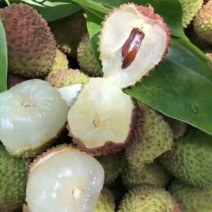 一骑红尘妃子笑，无人知是荔枝来，妃子笑荔枝