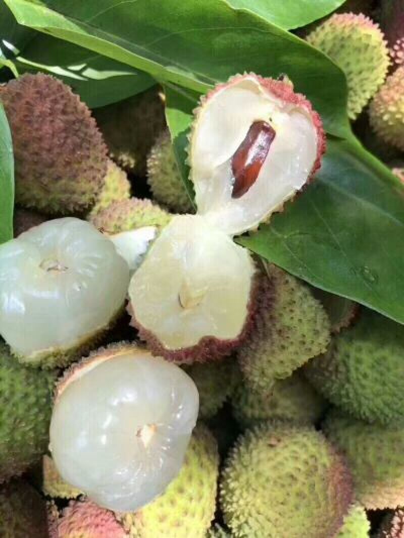 一骑红尘妃子笑，无人知是荔枝来，妃子笑荔枝