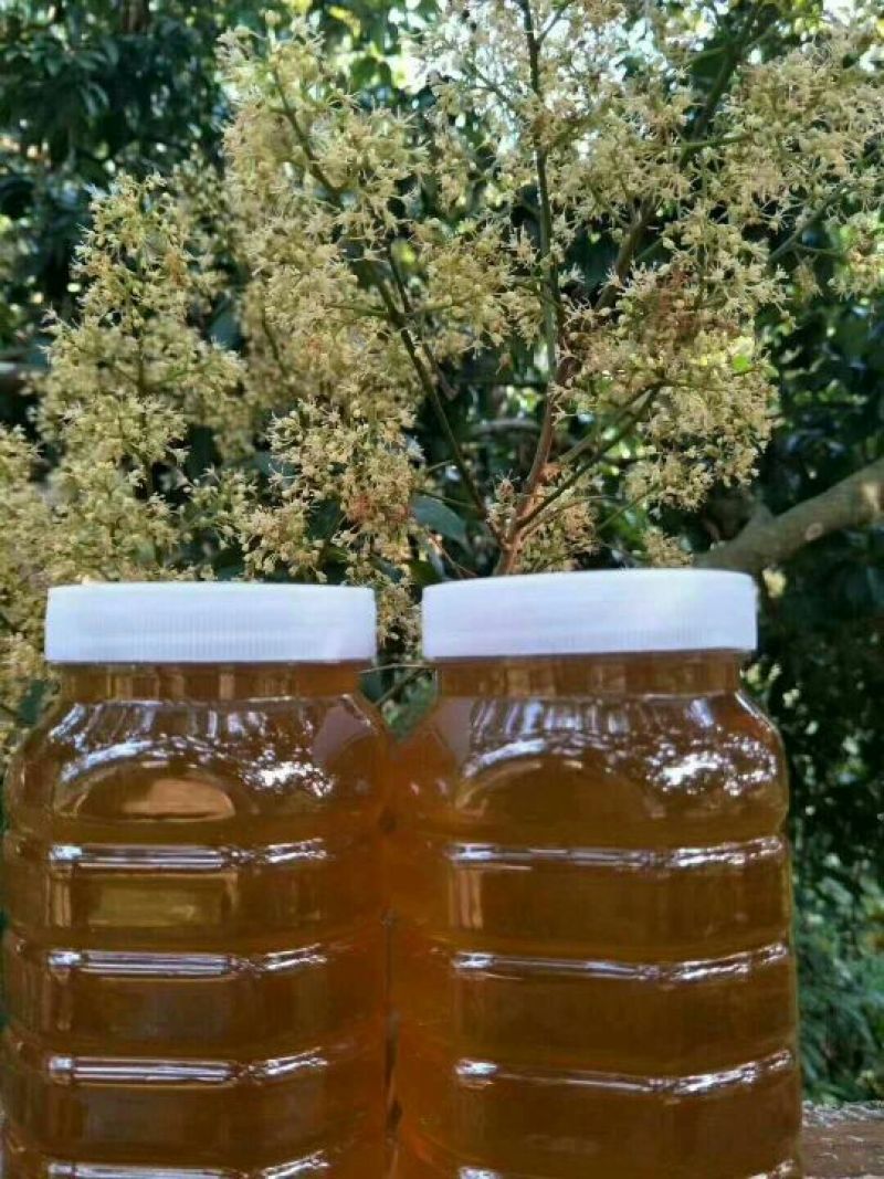 蜂蜜