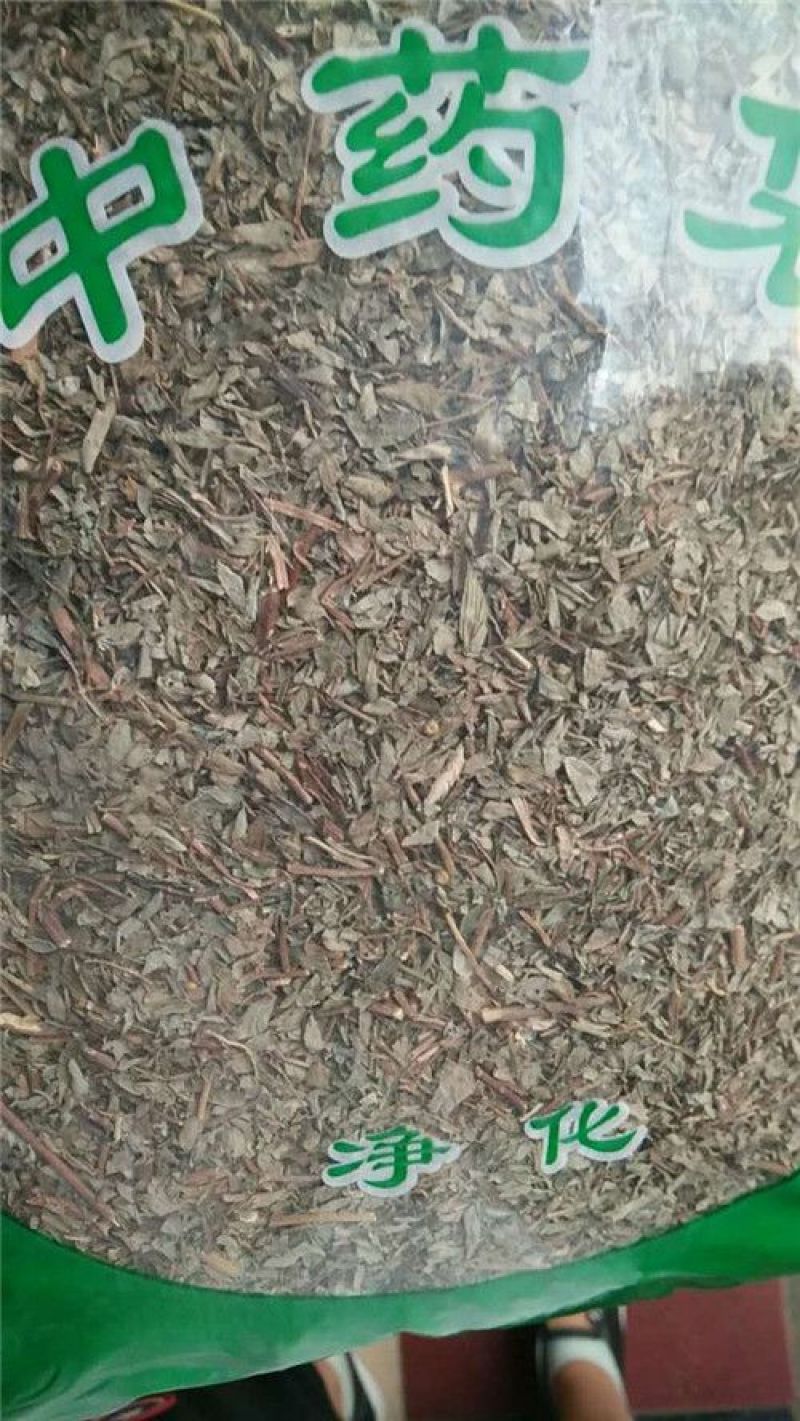 叶下珠中药材，