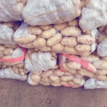 荷兰十五土豆3两起步不封顶，冷库有货，保质保量价格低