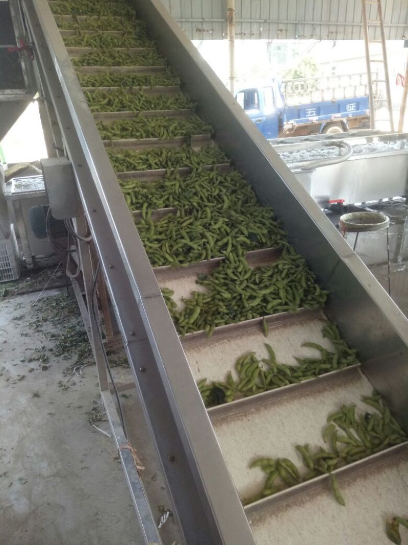 翠绿宝，精品大夹翠绿宝，优质货源，上货量大！