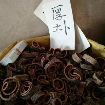 厚朴