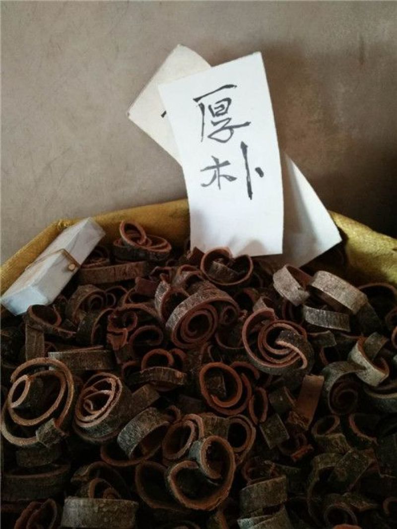 厚朴