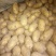 荷兰十五土豆3两起步不封顶，冷库有货，保质保量价格低
