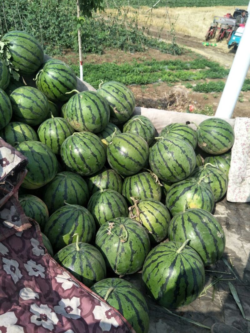 甜王京欣等