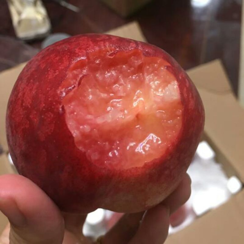 血丝蜜桃