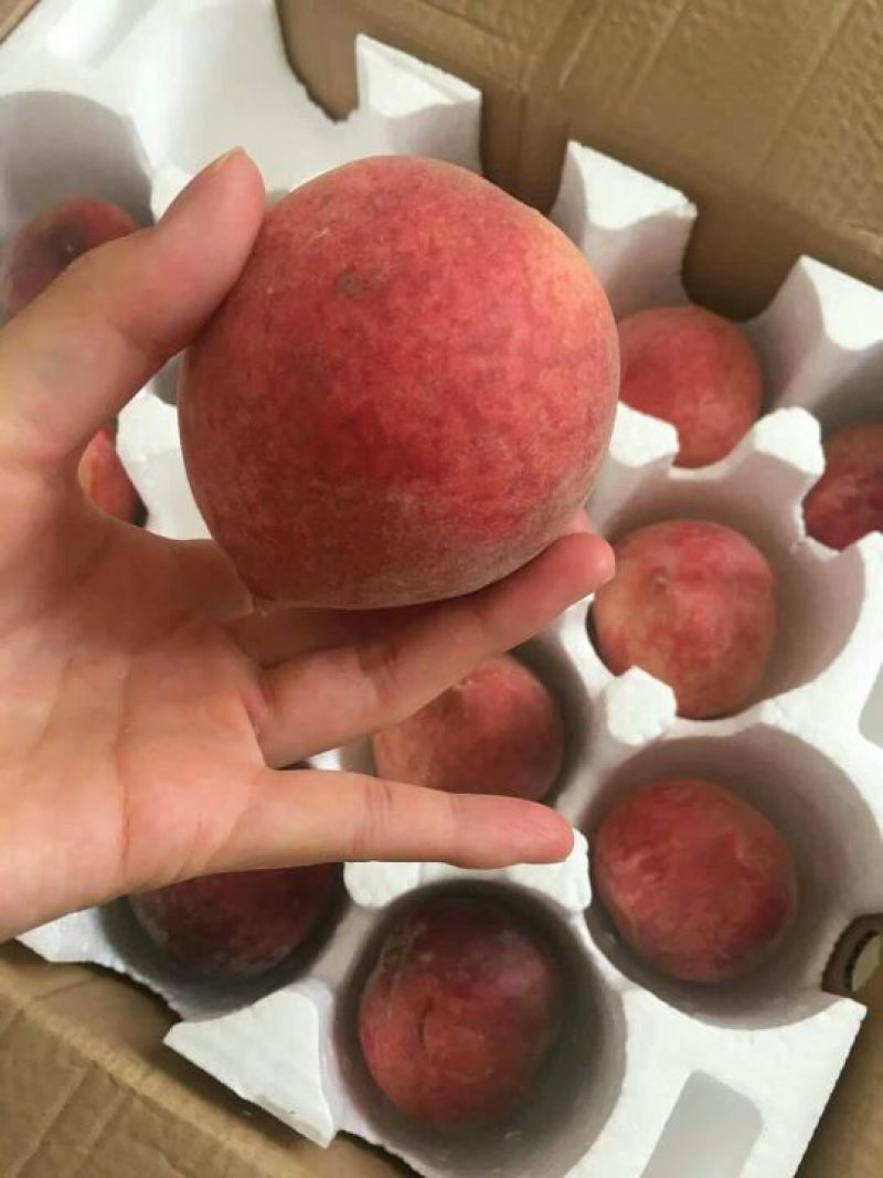 血丝蜜桃