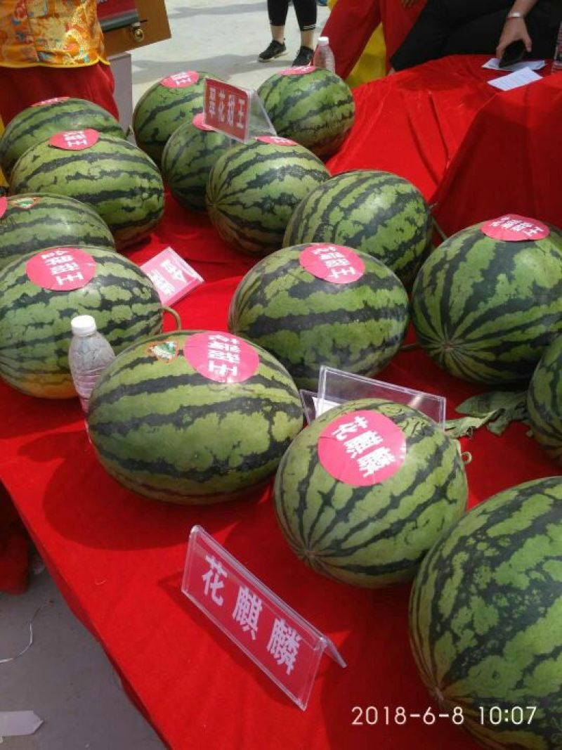 西瓜