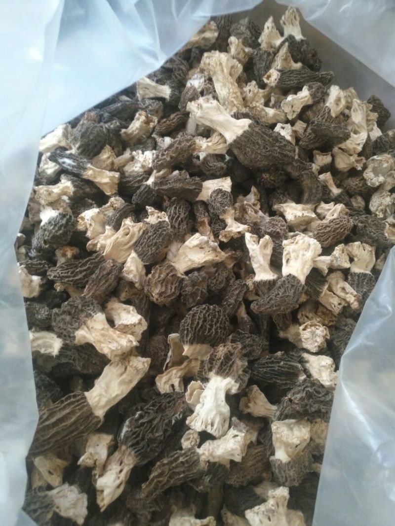 羊肚菌200斤，500一斤，需要的联系