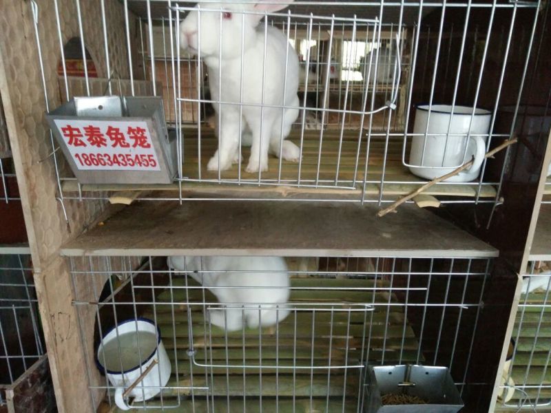 商品兔