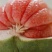越南青皮柚子苗新品种上市苗子非常靓丽