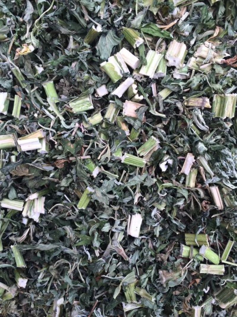 益母草片子鲜货