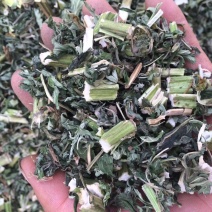 益母草片子鲜货