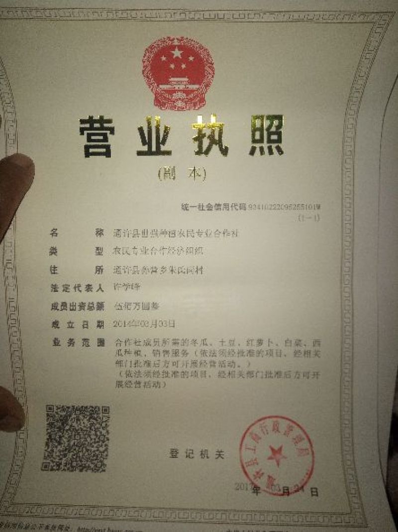 荷兰十五土豆可代收代发全国，视频看货价格低，量大