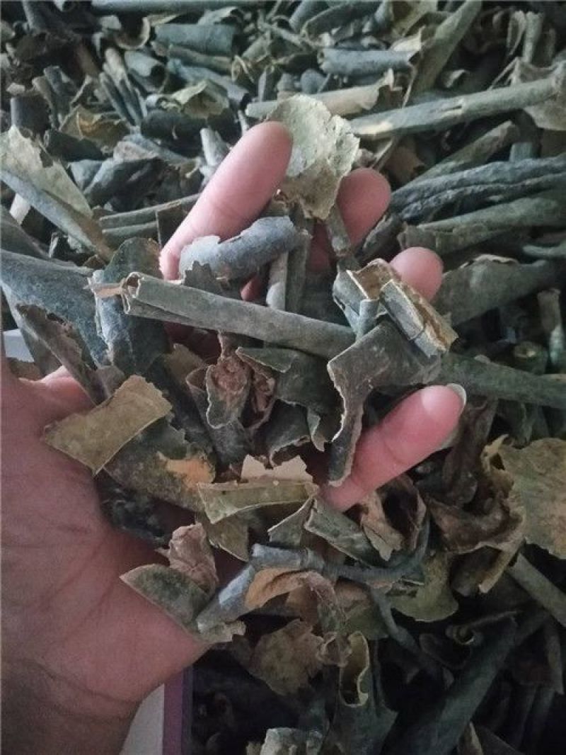 冬瓜皮