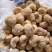 猴头菇大量批发欢迎新老客户选购量多从优，长期供应