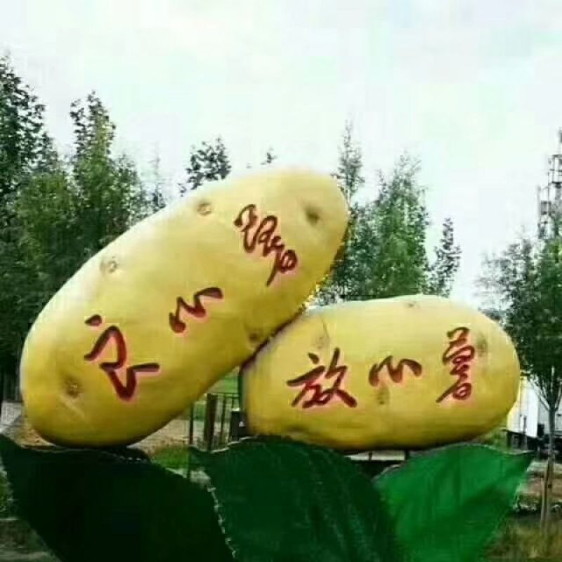 希森6.V7.土豆货源充足，质量一级，