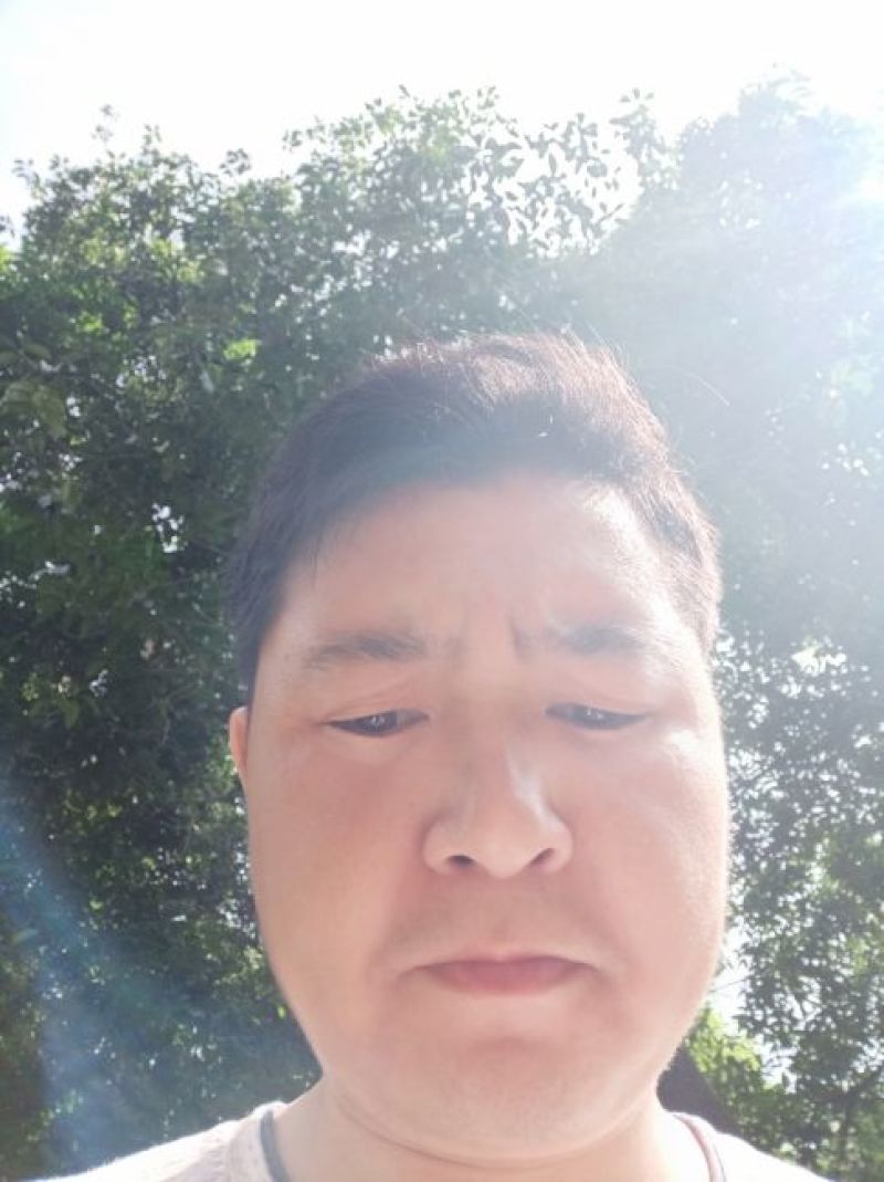 四季桂