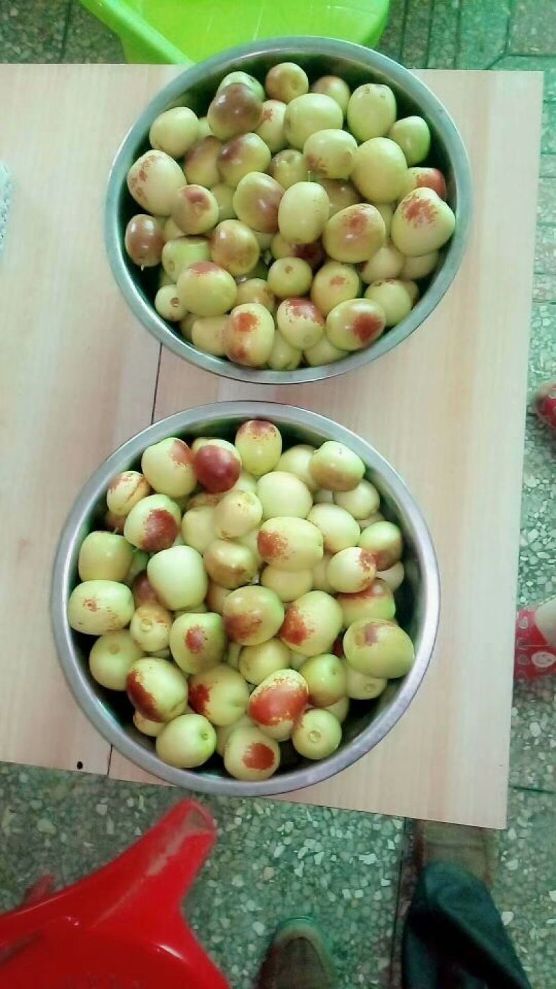 大荔优质产区冬枣，蟠枣