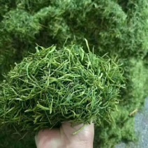 杀青烘干金银花