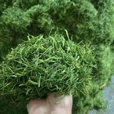 杀青烘干金银花