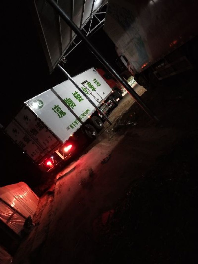 河南内黄县生菜意大利生菜常年有货可供应电商平台，实体店