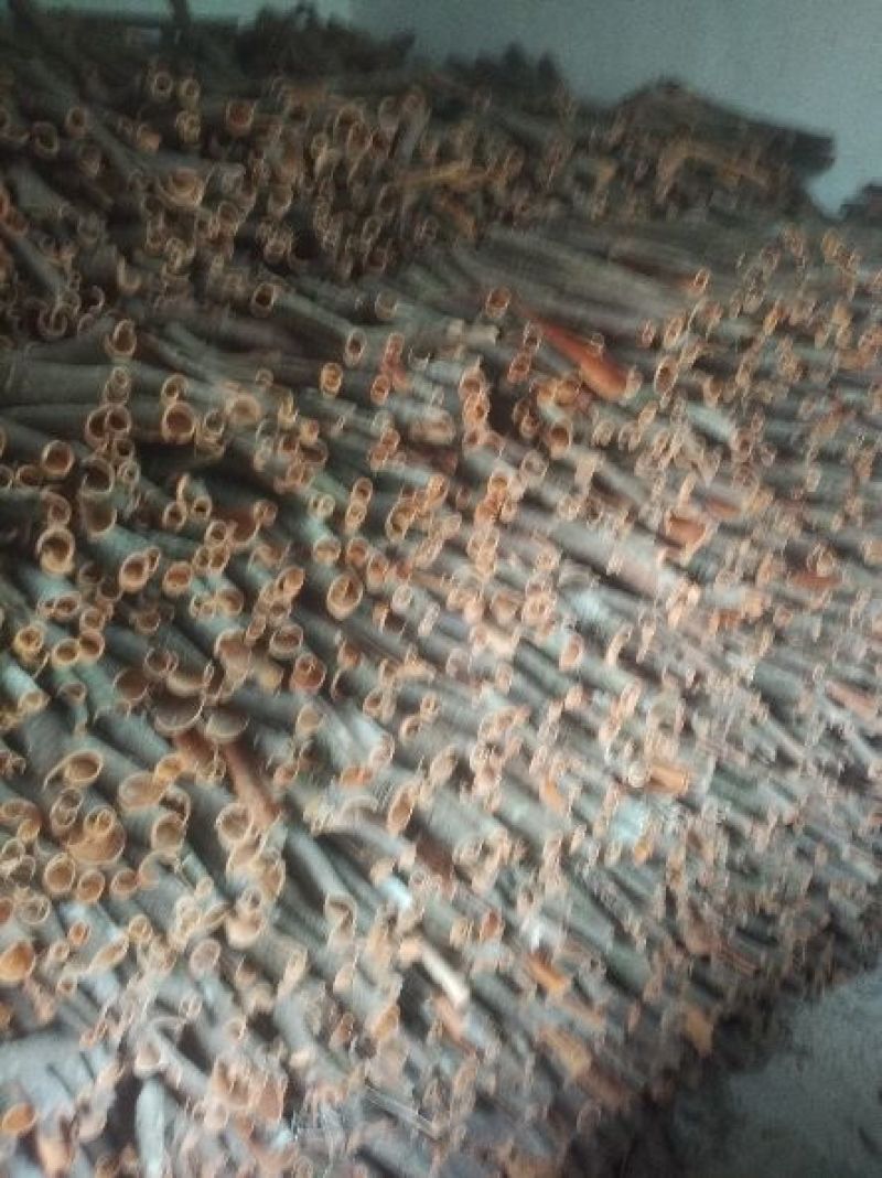 桂皮