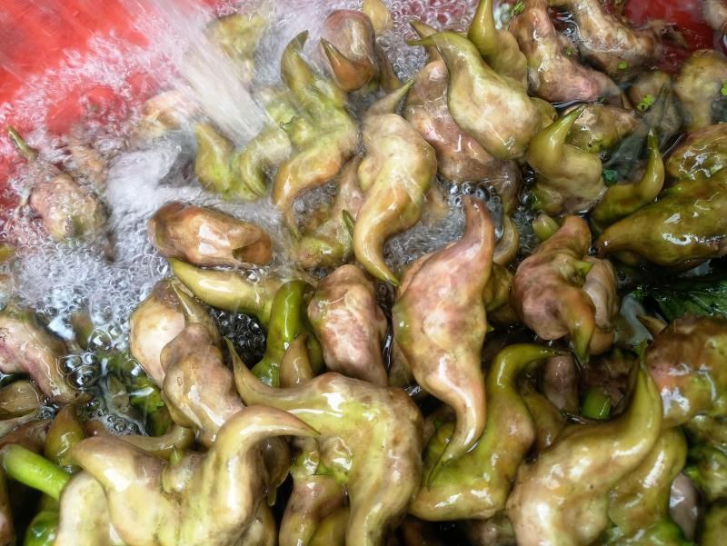 每天供应2万斤洪湖老嫩菱角菱角米，价格便宜，质量好