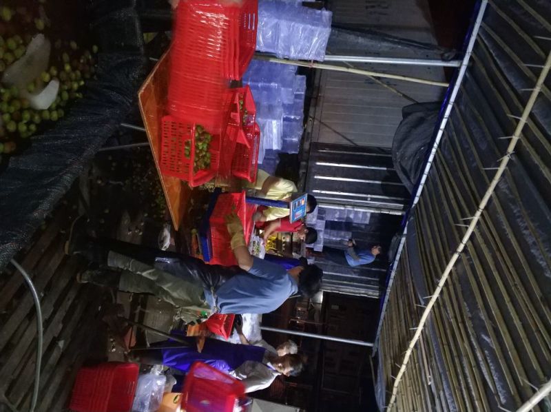 整车2万斤起靓荔枝，妃子笑，桂味，廉江市良垌镇专业代办