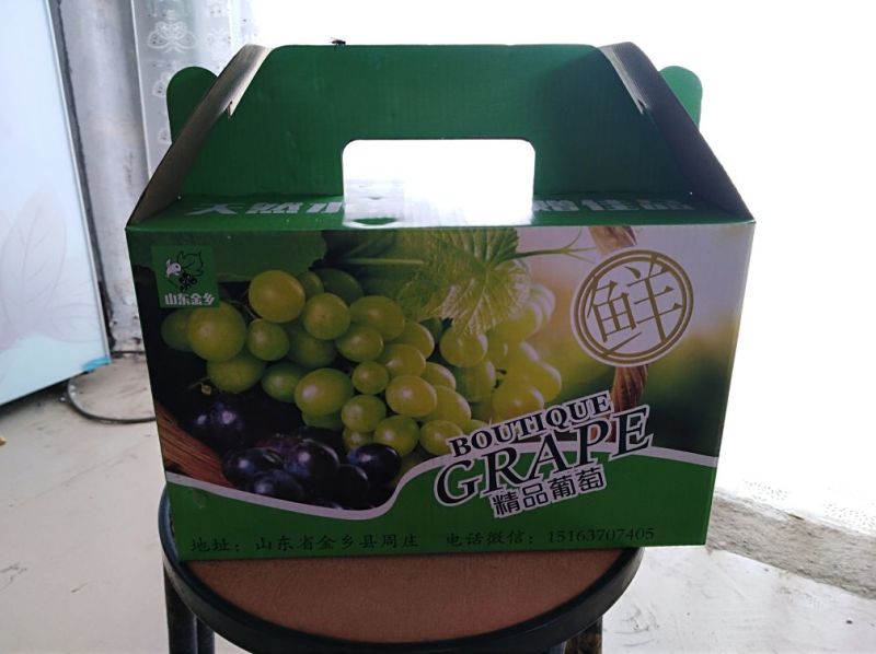 山东金乡大量供应巨盛乒乓球维多利亚红吧葡萄