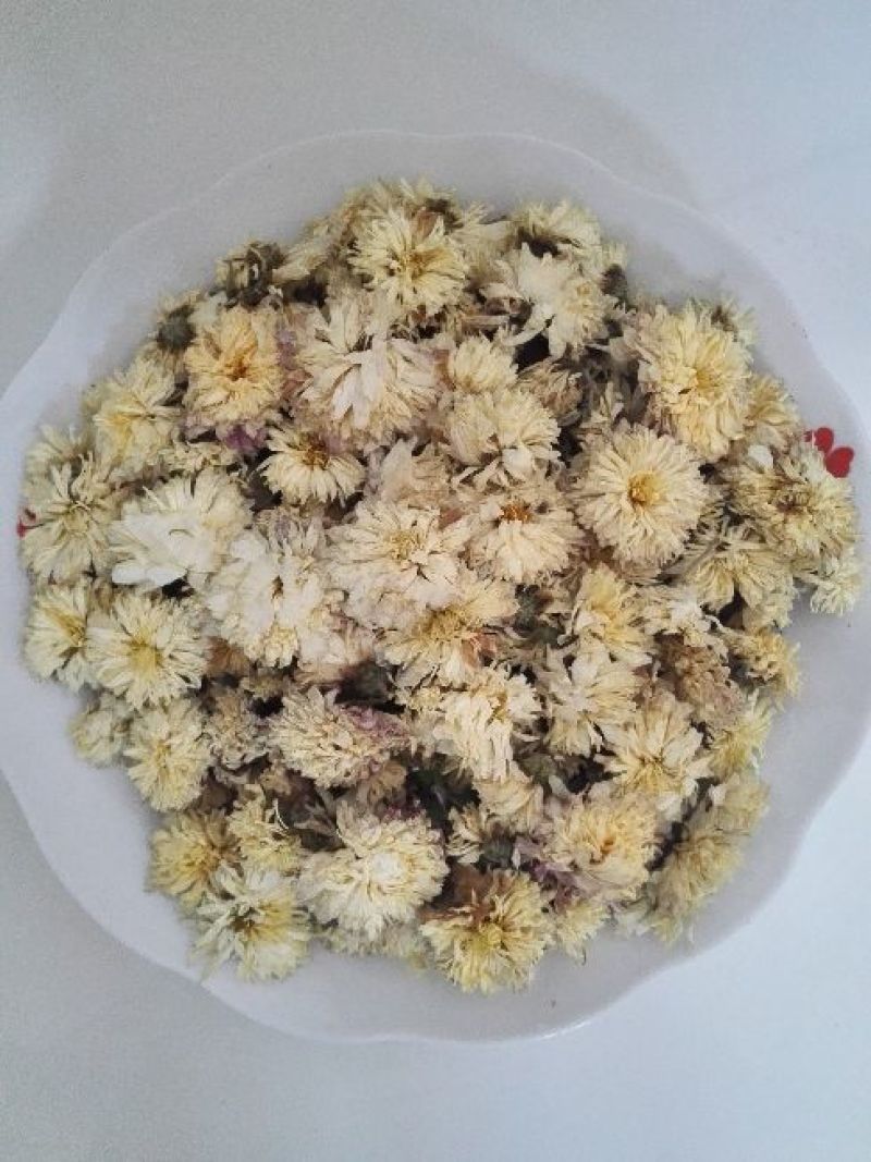焦作无硫怀菊花