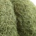 干豆角丝15厘米以上