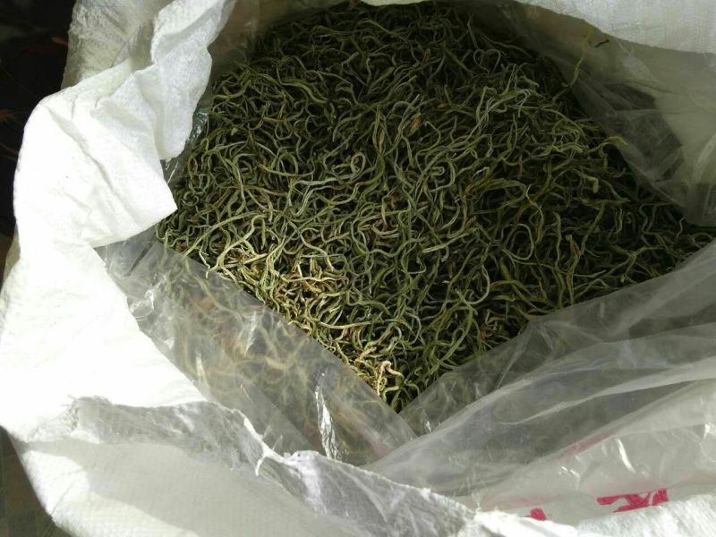 干豆角丝15厘米以上