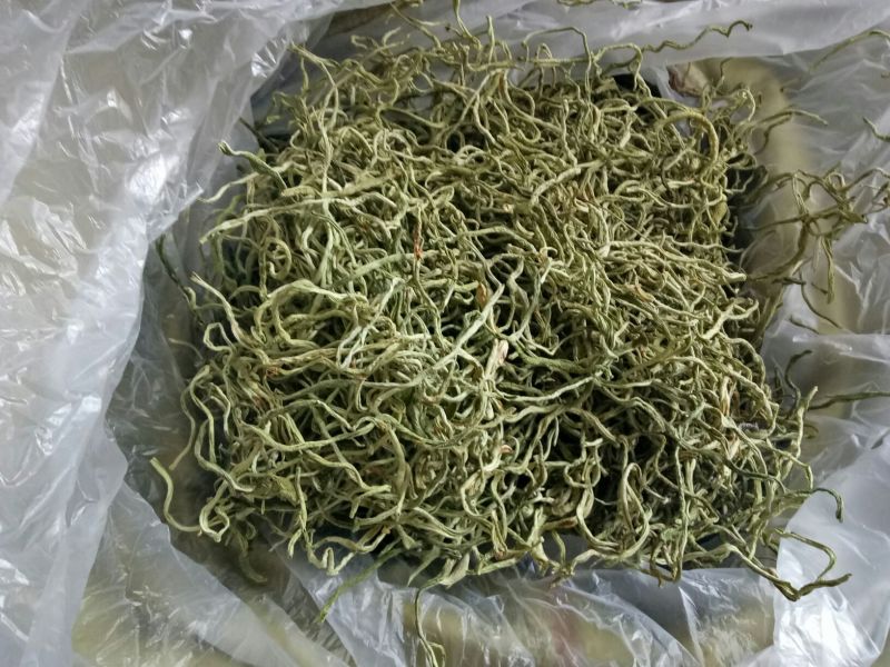 干豆角丝15厘米以上