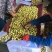 大荔冬枣支持一件代发
