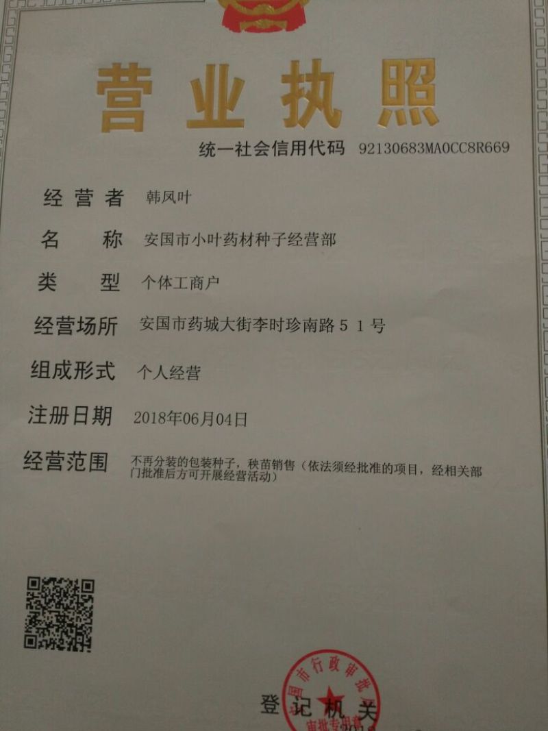 蒲公英籽