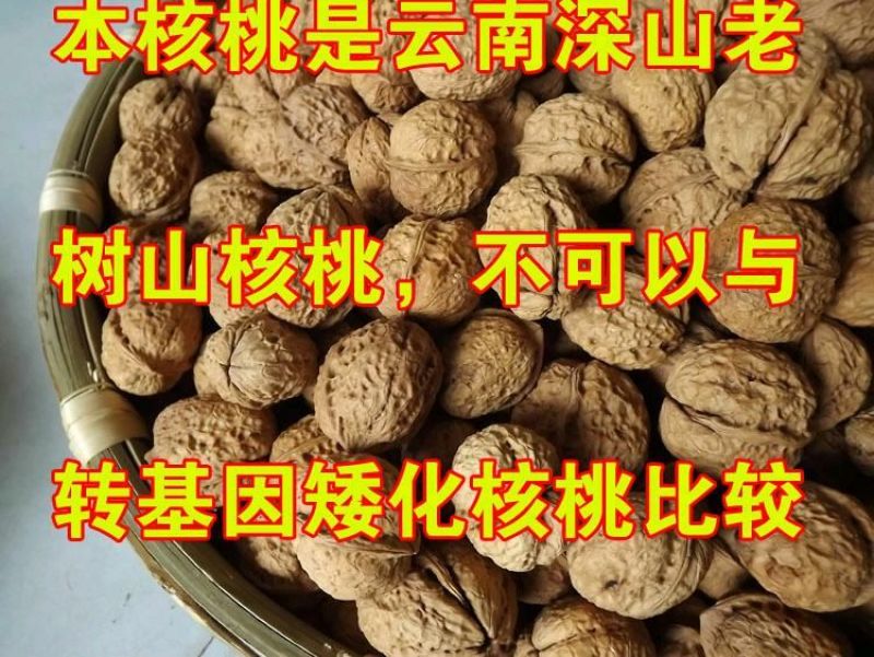 纸皮大麻果核桃--5斤送夹子