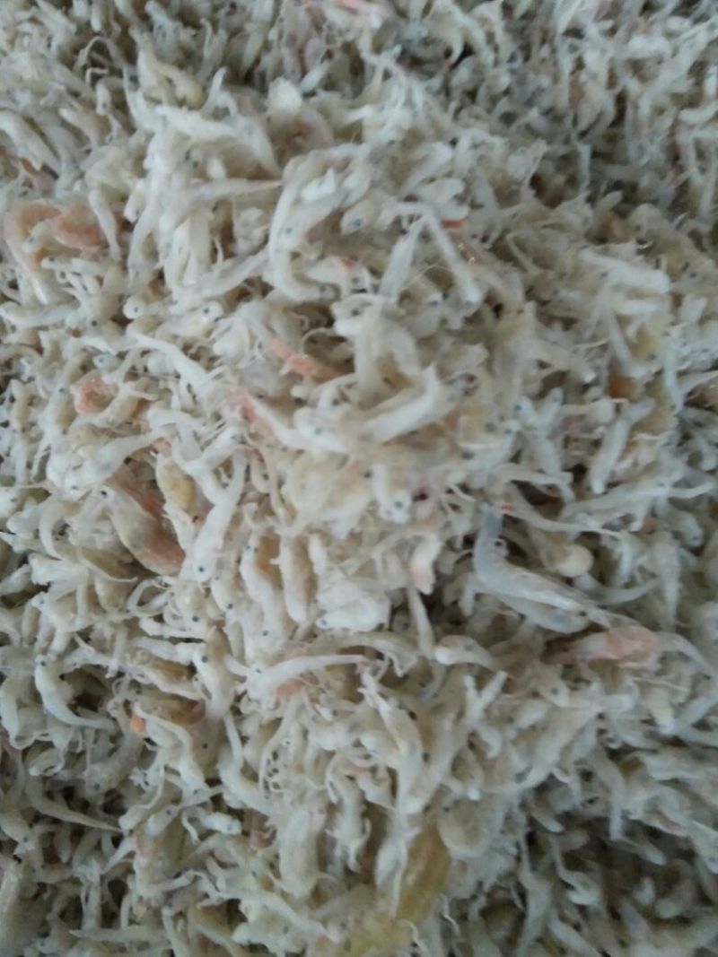 虾皮，饵料，凤尾鱼。