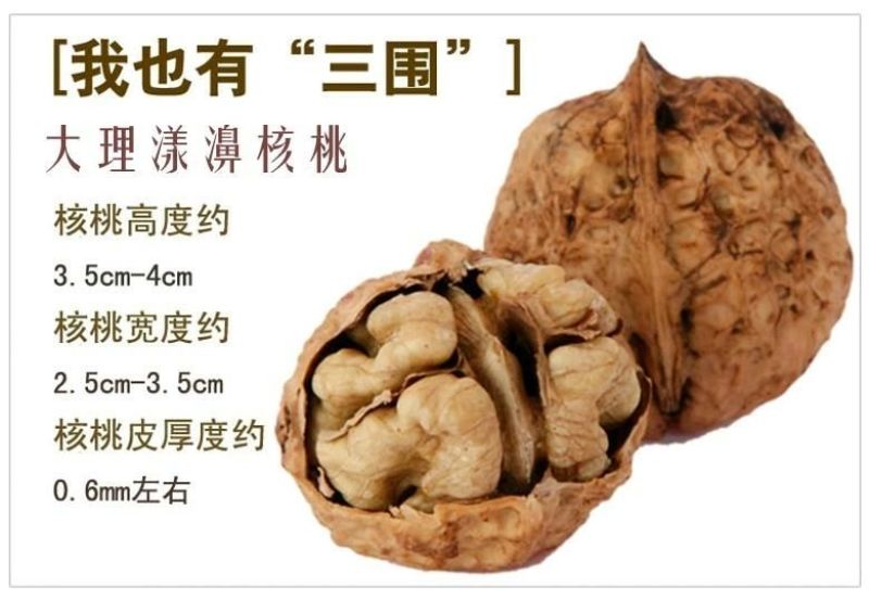 薄皮核桃