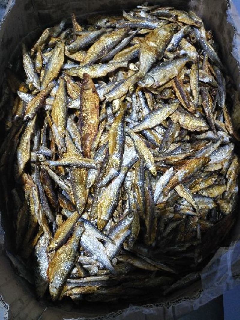 白条干小白条鱼干餐条